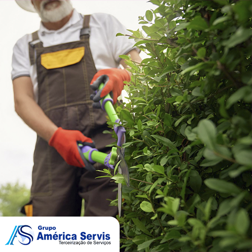 Terceirização de Jardinagem para prédios em Araxá